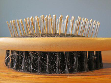 Brosse, Cheveux, Peigne, Chien, Soins